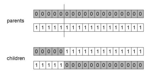 1 point crossover example