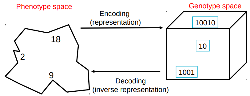 encoding and decoding example