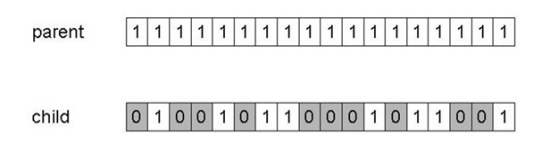 Mutation on binary representation