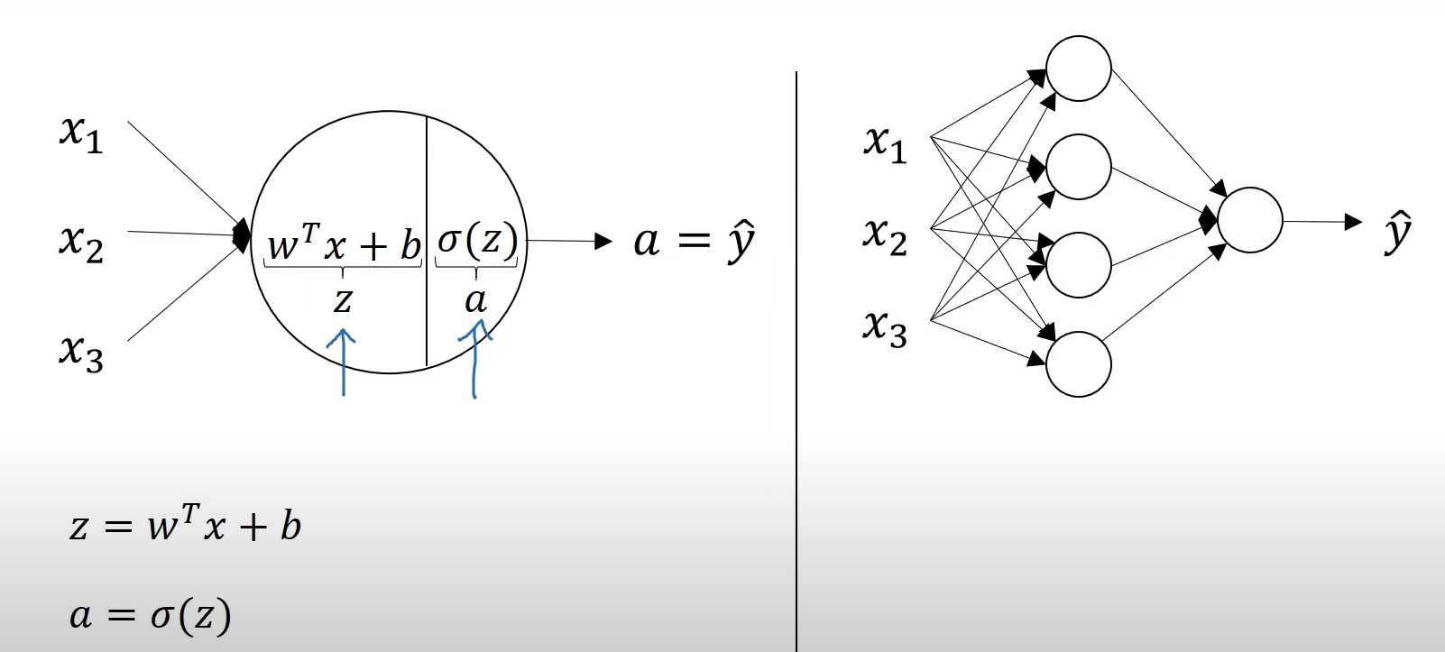 neural networks