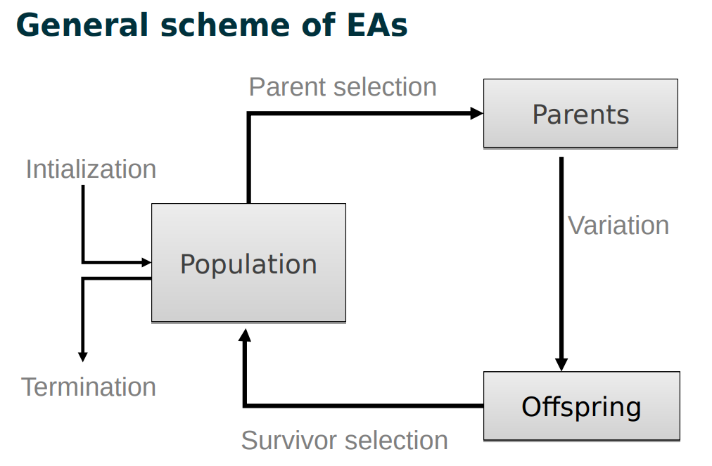 Scheme of EAs